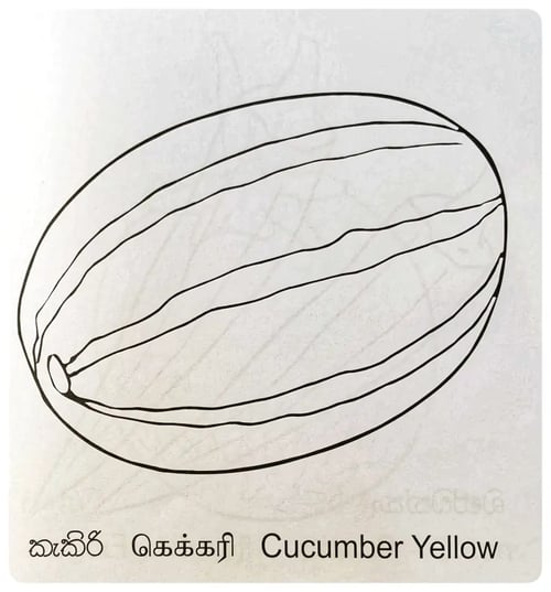පාට කරමු - එළවලු | Paata Karamu - Vegetables inside view