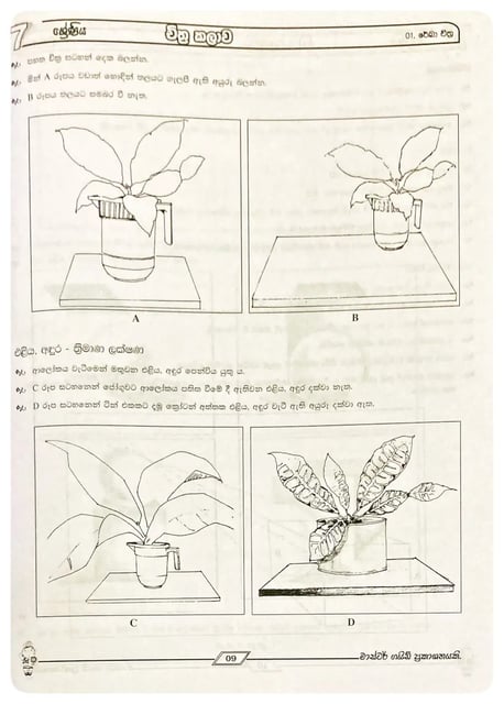 චිත්‍ර කලාව 7 ශ්‍රේණිය | Chitra Kalava Grade 7 inside view
