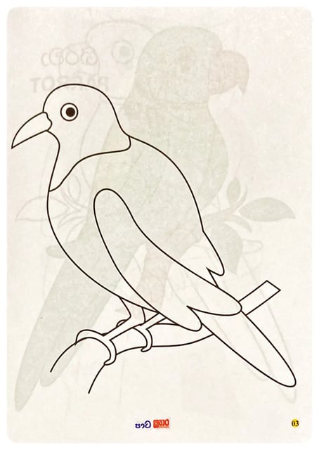 පාට සතර - කුරුල්ලෝ | Pata Sathara - Birds inside view