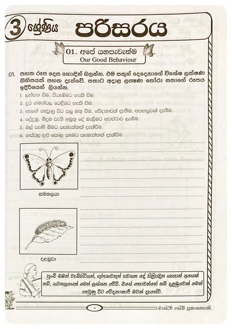 පරිසරය 3 ශ්‍රේණිය | Parisaraya Grade 3 inside view