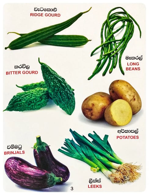 රූප සතර - එළවළු | Sathara Picture Book - Vegetables inside view