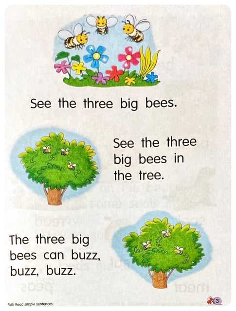 Phonics Reader 4 inside view