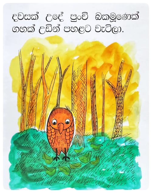 පුංචි බකමුණා | Punchi Bakamoona inside view