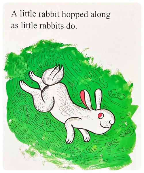 Little Rabbit inside view