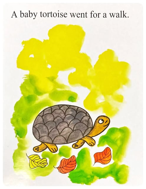 Tiny Tortoise inside view