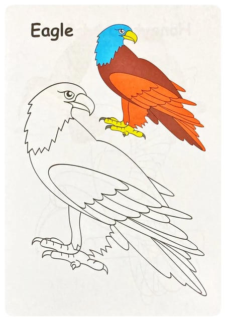 Copy Colouring Birds inside view