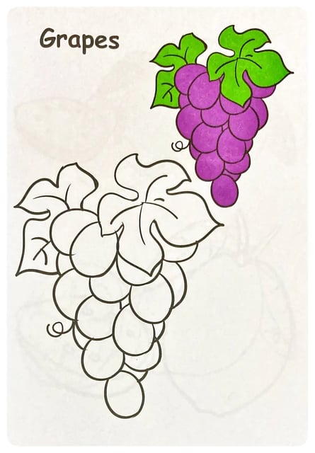 Copy Colouring Fruits inside view