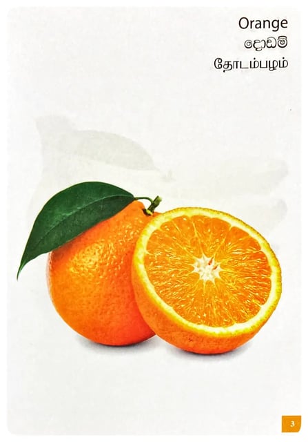 Picture Book of Fruits inside view