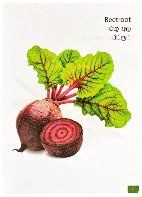 Picture Book of Vegetables inside view