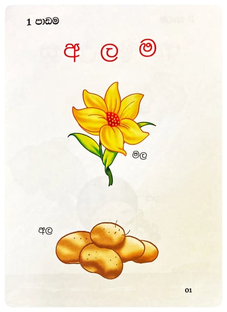 කුමාරොදය 1 | Kumarodaya 1 inside view