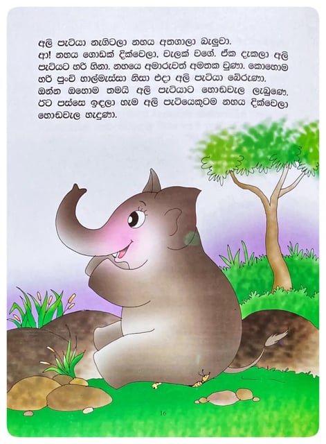 අලි හොඬවැල | Ali Hondawela inside view