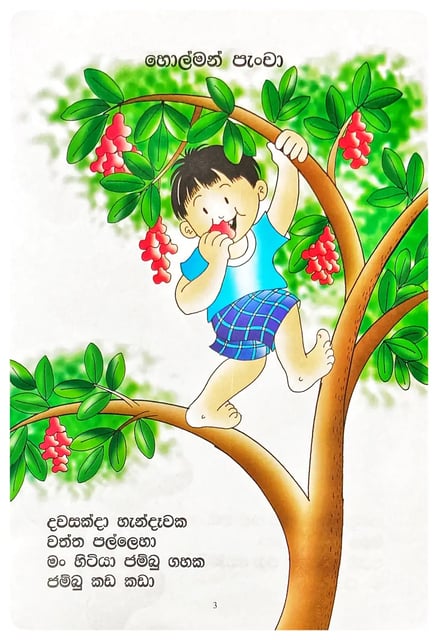 හොල්මන් පැංචා | Holman Pancha inside view