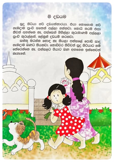 මී දඩයම | Mi Dadayama inside view