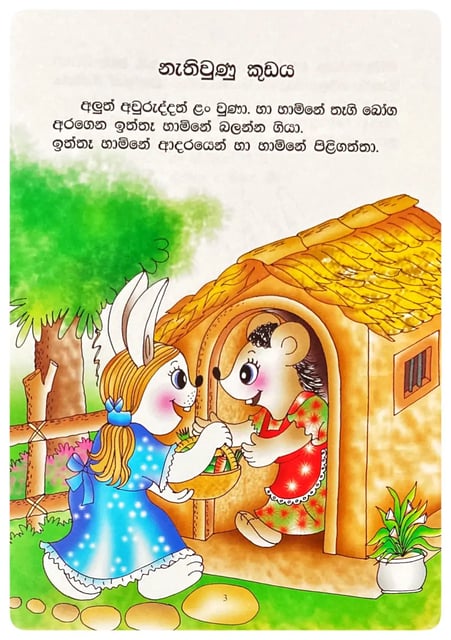 නැතිවුණු කුඩය | Nathiwunu Kudaya inside view