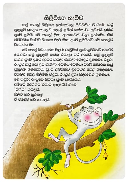 සිලිටිගෙ නැට්ට | Silitige Natta inside view