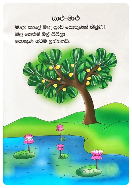 යාළු මාළු | Yalu Malu inside view