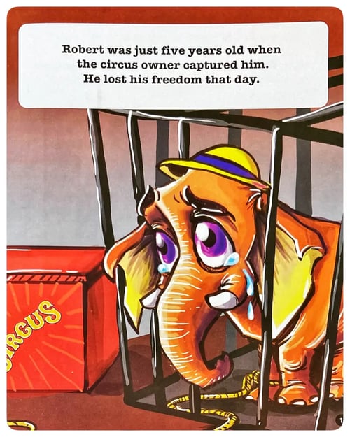 Find Your Rope inside view