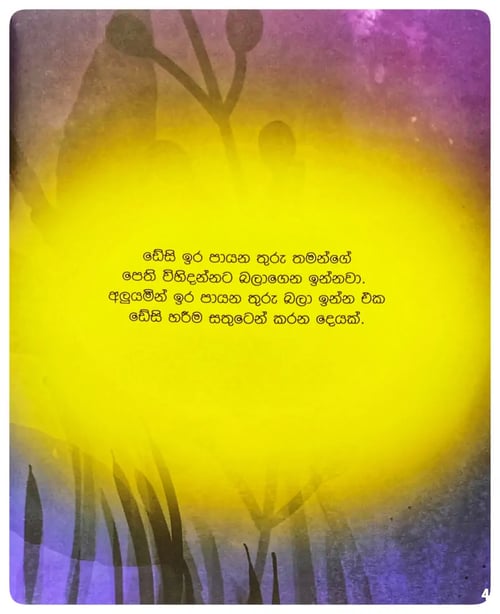 ඩේසී | Daisy inside view