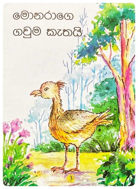 ණයට දුන්න ඇඳුම | Nayata Dunna Anduma inside view