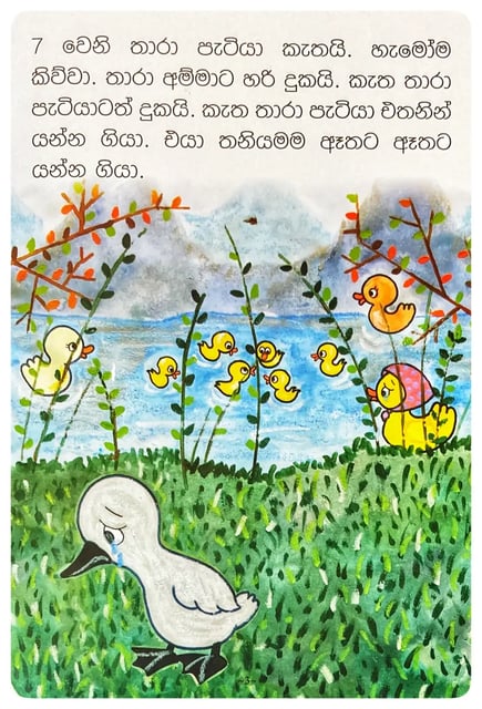 කැත තාරා පැටියා | Katha Thara Patiya inside view