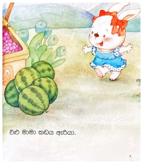 එළුවගෙ කඩය | Eluwage Kadaya inside view