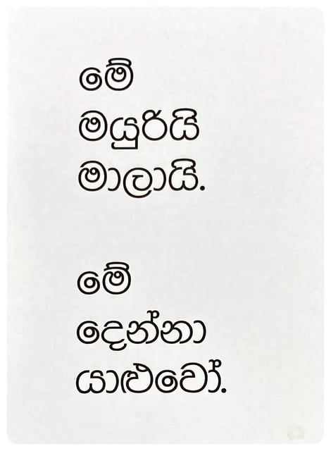 හුවමාරුව | Huwamaruwa inside view