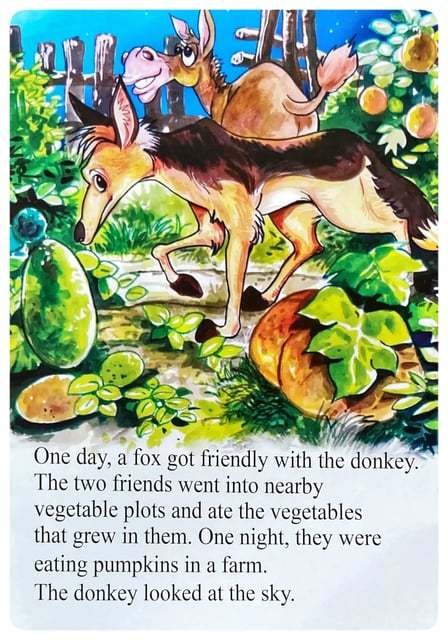 The Donkey's Song inside view