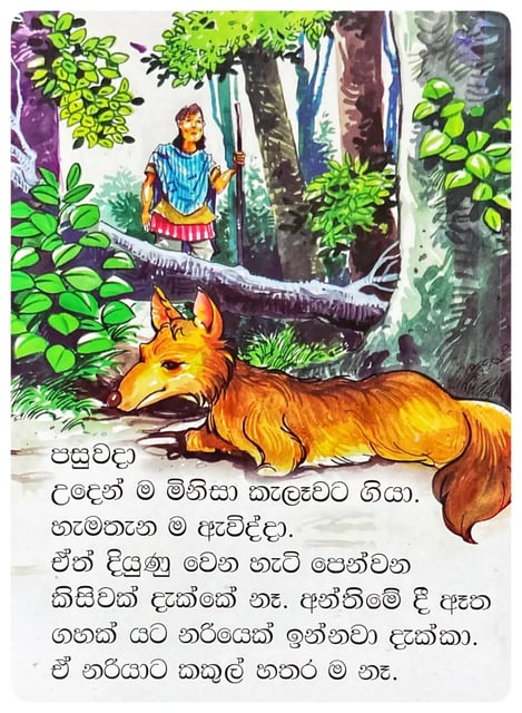 හීනය | Hinaya inside view