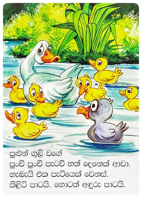 තාරා පැටියා | Thara Patiya inside view