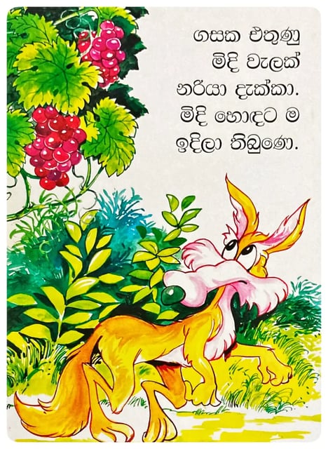 නරියා සහ මිදි වැල | Nariya Saha Midi Wela inside view