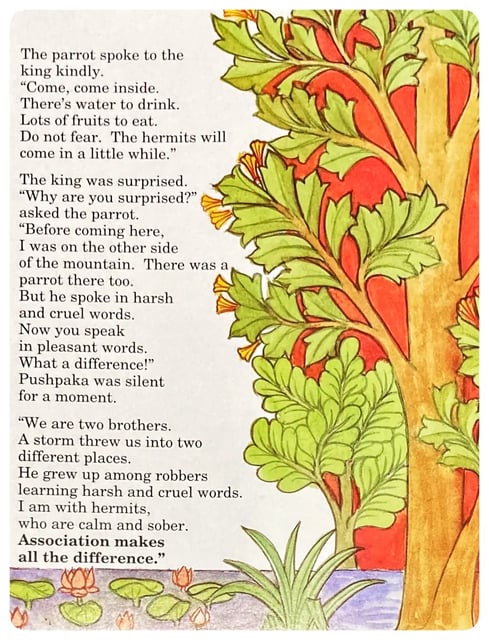 The Way of the Parrots inside view