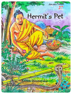 Hermit's Pet
