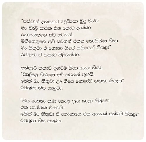 අන්දරේ නුදුටු ගොනා | Andare Nudutu Gona inside view