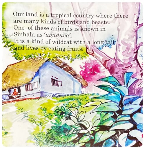 Wildcats and Bananas inside view