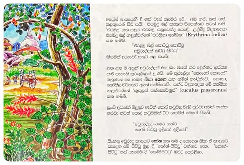 සූර්ය මංගල්‍යය | Soorya Mangalyaya inside view