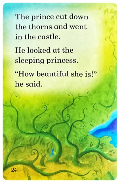 Sleeping Beauty inside view