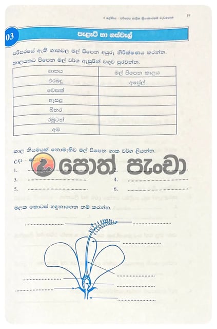 පරිසරය වැඩ පොත 4 | Parisaraya Wada Potha 4 inside view