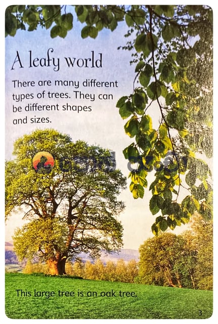 Trees inside view