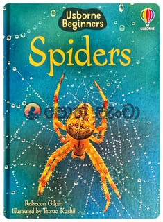 Spiders