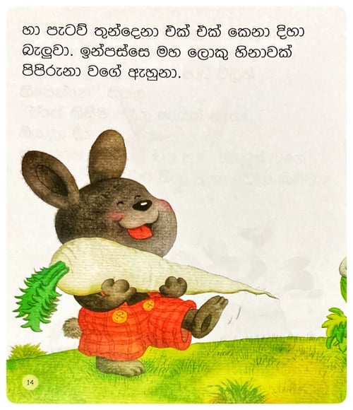 පැළ කෙරුව රාබු | Pala Keruwa Rabu inside view