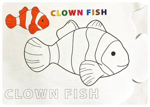 Fun With Colours Fish inside view