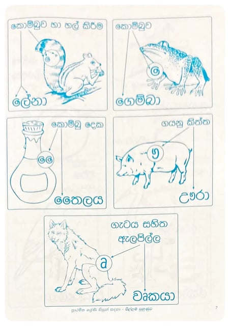 පිල්ලම් පුහුණුව | Pillam Puhunuwa inside view