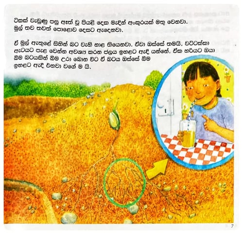 ඇටෙන් ගෙඩියක් | Aten Gediyak inside view