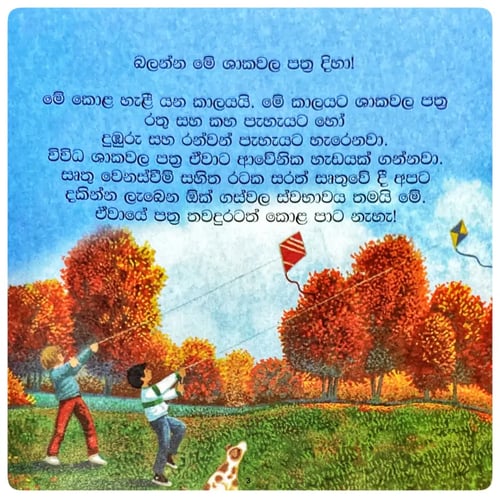 පත්‍ර පැහැය වෙනස් වෙන හැටි | Pathra Pahaya Wenas Wena Hati inside view