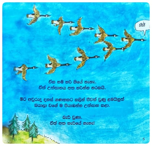 පියාඹන්න උගත් හැටි | Piyambanna Ugath Hati inside view
