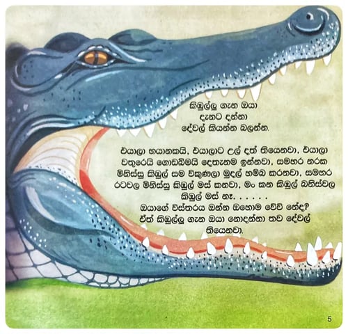 කිඹුල්ලු | Kimbullu inside view