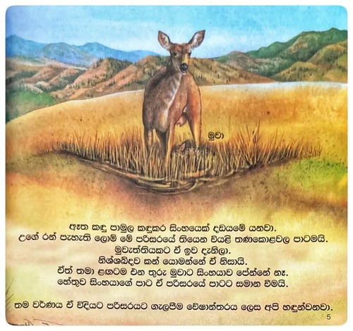 පැහැයක පවතින රහස් | Pahayaka Pawathina Rahas inside view