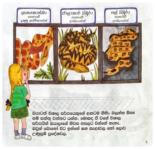 සර්පයෝ | Sarpayo inside view