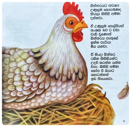 කුකුළු පැටවු ඉපදෙන හැටි | Kukulu Patavu Ipadena Hati inside view