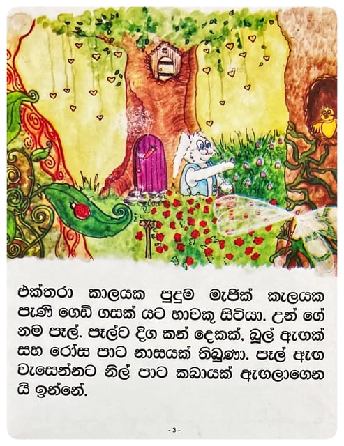 පෑල්ගේ වික්‍රමය | Palge Wikramaya inside view